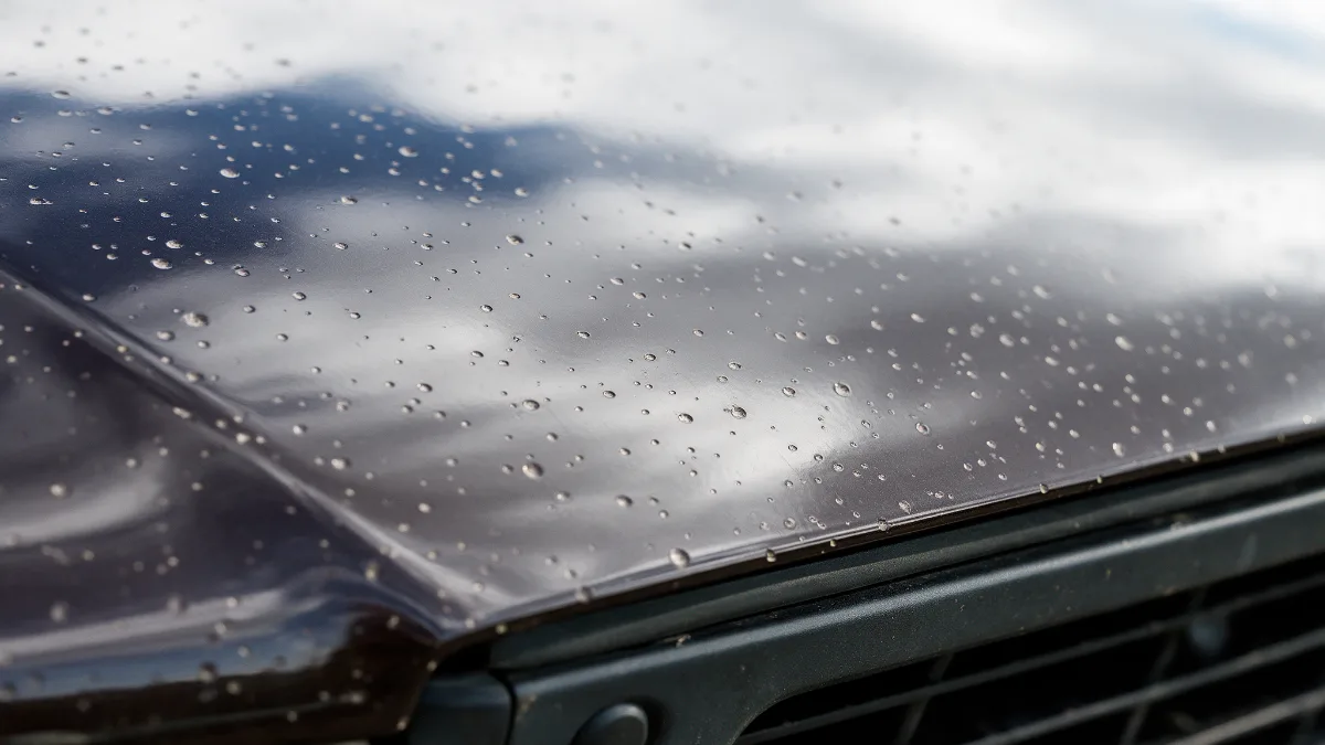 Stone chips across the leading edge of a car bonnet seen close up
